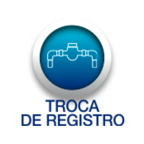 Ícone Troca de Registro
